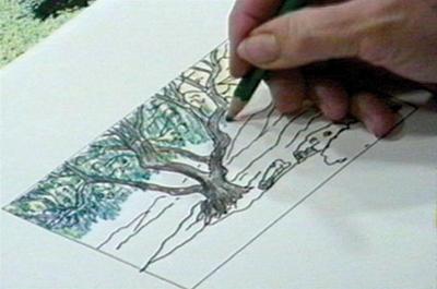 Workshop Di Disegno Naturalistico Comune Di Villa Lagarina