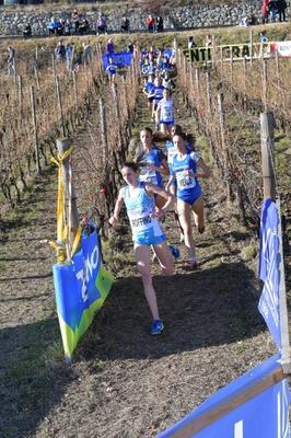 Cross 2018 Cross 2018