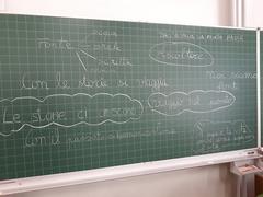 L'attività in classe L'attività in classe