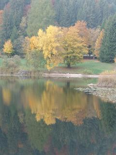 Foliage al lago di Cei Foliage al lago di Cei